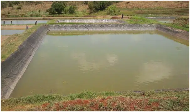 Fish farming ponds in Qatar