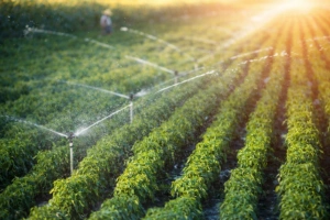Agricultural Spray Systems in qatar